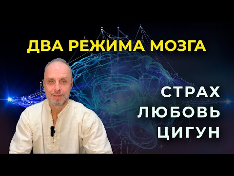 Видео: Два режима мозга, которые меняют все!