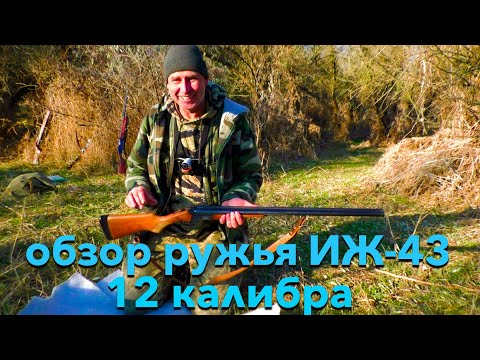 Видео: Охота на зайца! Он всё таки  где то есть)) Обзор братухиного ружья ИЖ-43  12 калибра !