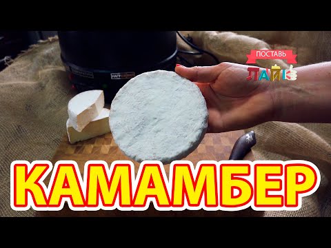 Видео: Камамбер