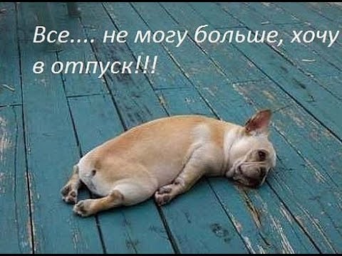 Видео: ХОЧУ В ОТПУСК - лозунг раба!