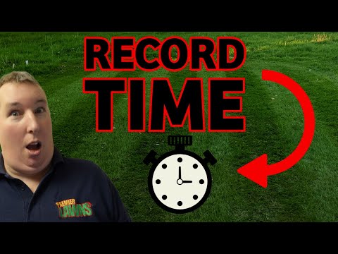 Видео: Я нашел САМЫЙ БЫСТРЫЙ СПОСОБ вырастить траву из семян, и это меня ПОРАЗИЛО