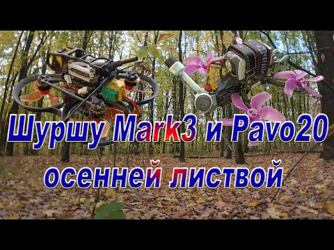 Видео: Шуршу Mark3 и Pavo20 осенней листвой