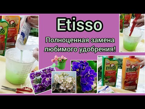 Видео: Полноценная замена удобрения Etisso для фиалок! Рассказываю как разводить удобрение и использовать д