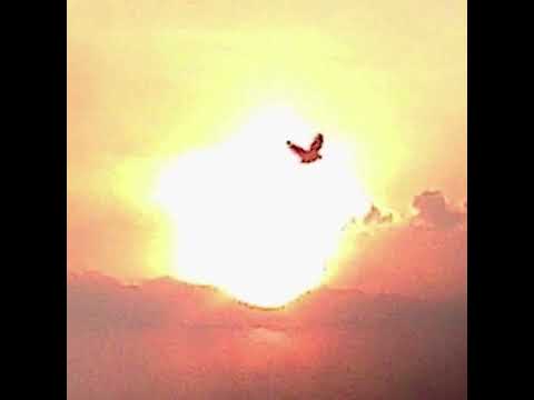 Видео: Синдром Восьмиклассника - Сила в правде (slowed + reverb)