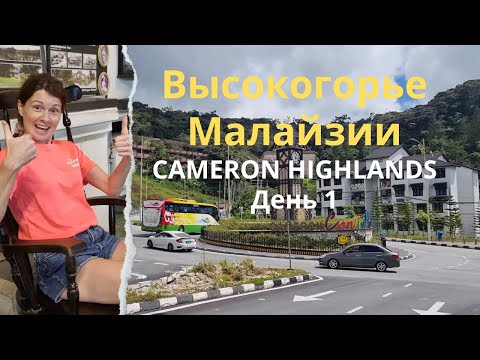 Видео: Ехать ли в Cameron Highlands/ What is Cameron Highlands - Day 1