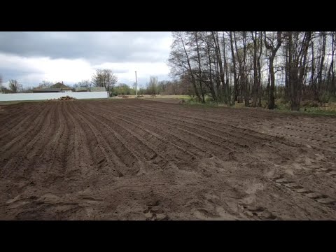 Видео: Посадка картоплі 2025
