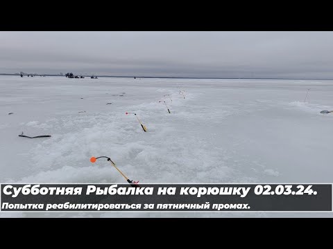 Видео: Субботняя Рыбалка на корюшку 02.03.24. Попытка реабилитироваться за пятничный промах.