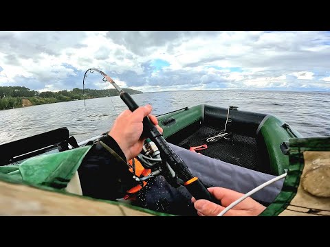 Видео: Рыбалка ГЛУБОКАЯ ЯМА КИШИТ СОМАМИ. Ловля сома на квок. Рыбалка на сома, Выползки, Куриная печень.