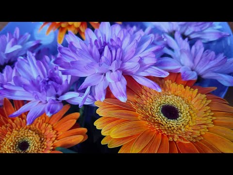 Видео: Видео сегодняшнего дня! ПЯТНИЦА!Прекрасного настроения и дня! #Дня  замечательного ,тёплого ,ясного!