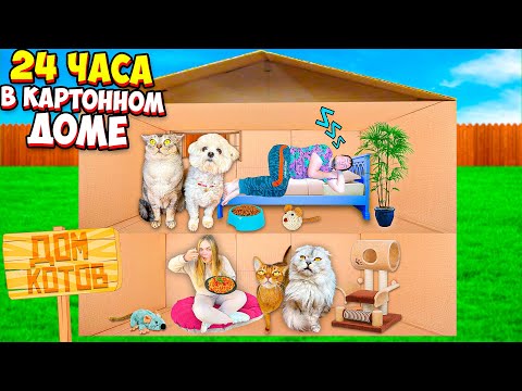 Видео: 24 ЧАСА В КАРТОННОМ ДОМЕ ДЛЯ КОТОВ | ЖИВЁМ С БИЛЛИ И КОТАМИ
