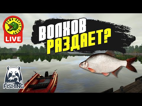 Видео: Волхов раздает? (Стрим - Русская рыбалка 4)