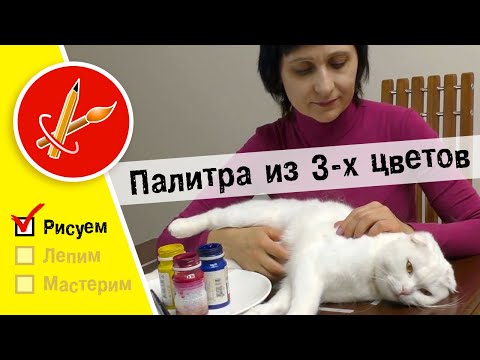 Видео: Вся палитра из 3 х цветов