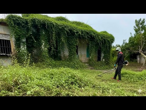 Видео: Спасите дом от мусора и заросшей травы после многих лет захоронения