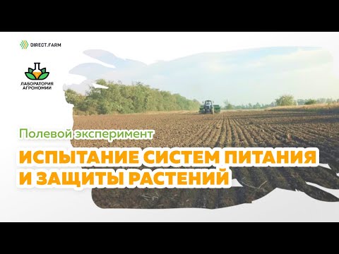 Видео: Эффективность гербицидной обработки пшеницы препаратами Дерби 175 и Аксиал