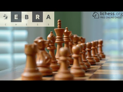 Видео: Комментируем матч 6 тура БШЛ ШК "Zebrachess" - СК "Толпар"