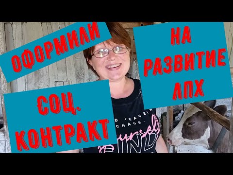 Видео: Оформили соц. контракт на развитие ЛПХ. Как? Спасаем животных от жары.