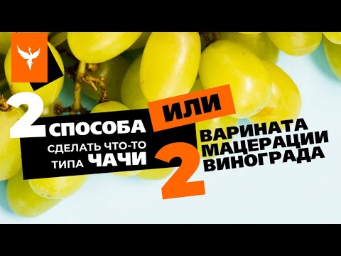 Видео: Два способа сделать что-то типа чачи или два варианта мацерации винограда