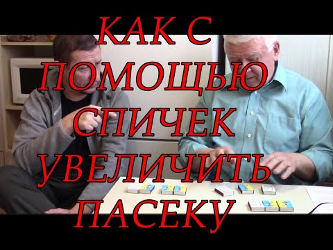 Видео: Пчеловодство.Роль отводков на Пасеке.