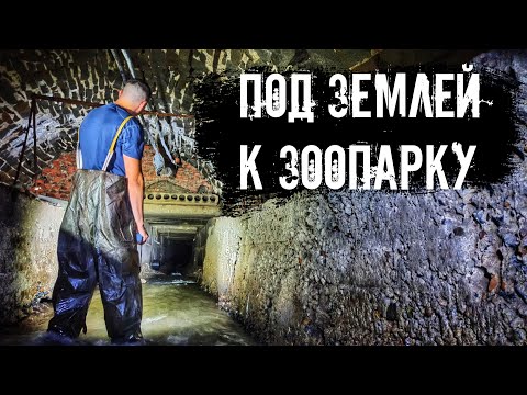 Видео: Под землёй к зоопарку.  Подземная река Малаховка.