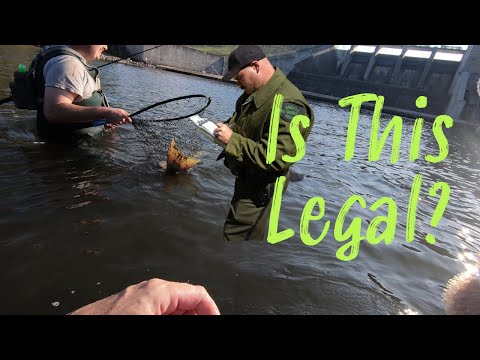 Видео: Рыбалка на блесну в арктических водоёмах Tippy Dam: советы и рекомендации