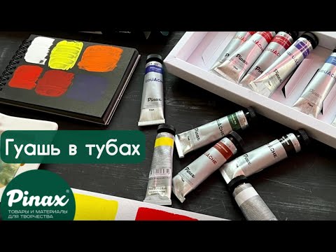 Видео: 🔥Обзор на ГУАШЬ от Pinax: обзор, сравнение