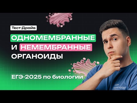 Видео: ОРГАНОИДЫ КЛЕТКИ. ОДНОМЕМБРАННЫЕ И НЕМЕМБРАННЫЕ ОРГАНОИДЫ (часть 2) | Тест-Драйв | NeoFamily