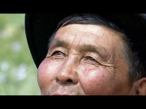 Видео: Хүрэн толгойн сүүдэр Баатар