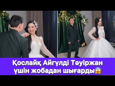 Видео: Қослайқ Айгүлді Тәуіржан үшін жобадан шығарды😱