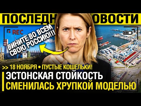 Видео: Эстонцы В ИСТЕРИКЕ! Недавняя СТОЙКОСТЬ стала ХРУПКОЙ МОДЕЛЬЮ?! - Народ НА ПРЕДЕЛЕ! // Вскрыта ПРАВДА