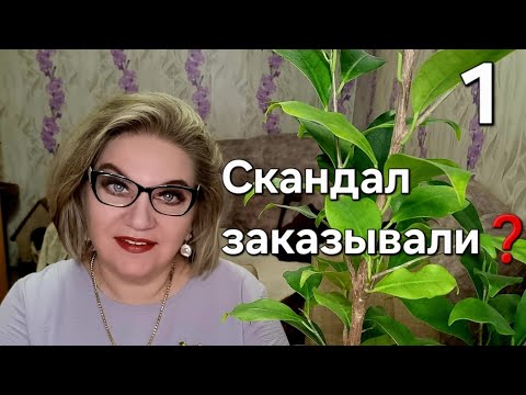 Видео: Скандал заказывали❓️