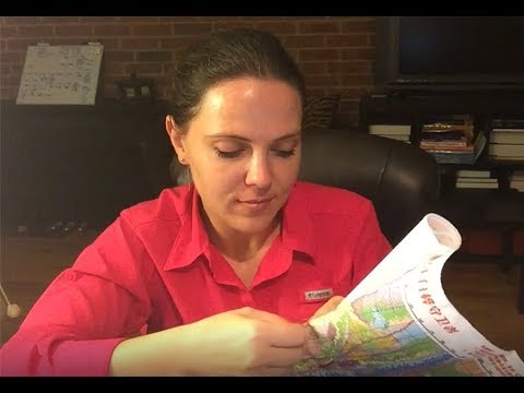 Видео: 190. История одной вышивки. От открытия набора до... Joy Sunday - Guardians of White Birch