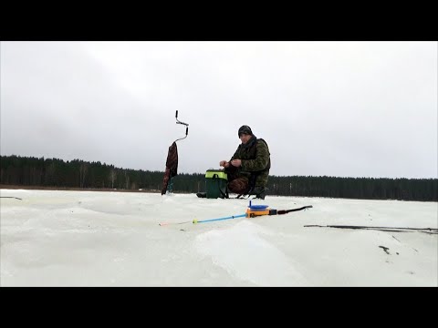 Видео: Ловля плотвы на удлинённые зимние удочки в декабре