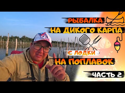 Видео: РЫБАЛКА НА ДИКОГО КАРПА с лодки на ПОПЛАВОК. Рыбалка 2021. РЫБАЛКА С НОЧЕВКОЙ. fishing. Часть 2