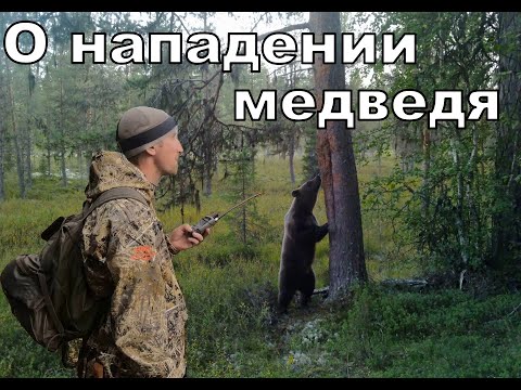 Видео: НАПАДЕНИЕ МЕДВЕДЯ.ПОДРАНОК.