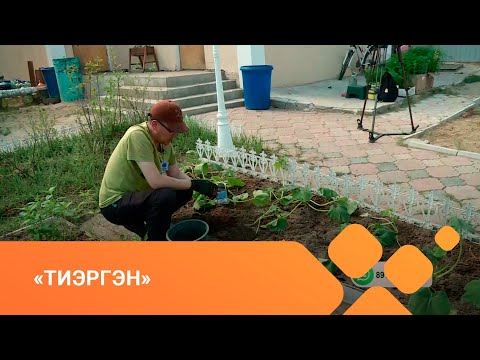 Видео: «Тиэргэн» биэриигэ: ландшафтнай дизайн уонна оҕуруот аһын сөпкө олордуу (03.06.21)