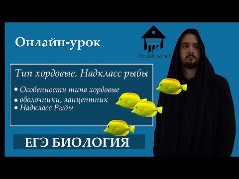 Видео: Тип хордовые, строение РЫБ для ЕГЭ |ЕГЭ Биология| Freedom bio