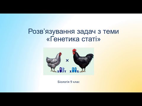 Видео: Біологія 9 клас. Розв'язування задач з теми "Генетика статі"