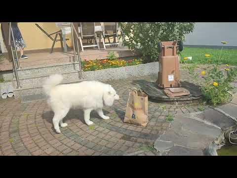 Видео: А чи був той вихідний? Пролетів швиденько.