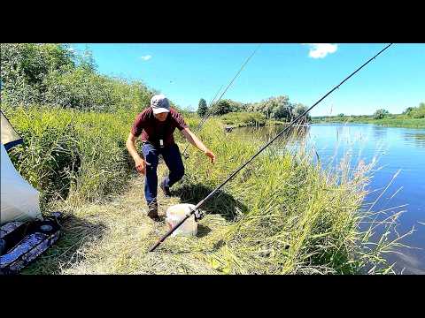 Видео: ОН УТАЩИЛ УДОЧКУ!!! ДИКИЕ ПОКЛЕВКИ САЗАНА! Рыбалка с ночевкой  на три ночи