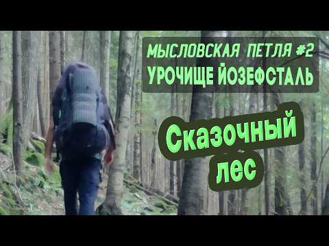 Видео: ⛺ Мысловская петля #2. Урочище Йозефсталь. Сказочный лес. Карпаты