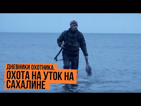 Видео: Охота на уток на Сахалине \ Дневники охотника \ Сезон 2