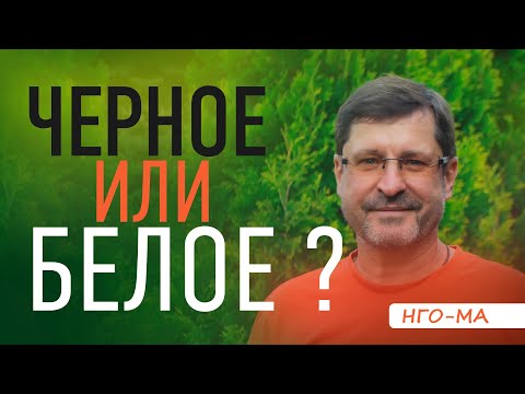Видео: Что такое ЭГО? Дуальность и дуализм - в чем отличие? (Отрывок сатсанга 31.07.2021)
