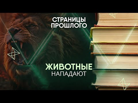 Видео: Животные нападают: как покушения животных на монархов изменили ход истории?