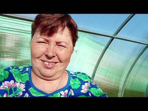 Видео: Утром не жарко,вожусь в огороде.Моя жизнь в деревне.