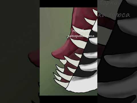 Видео: переговорка