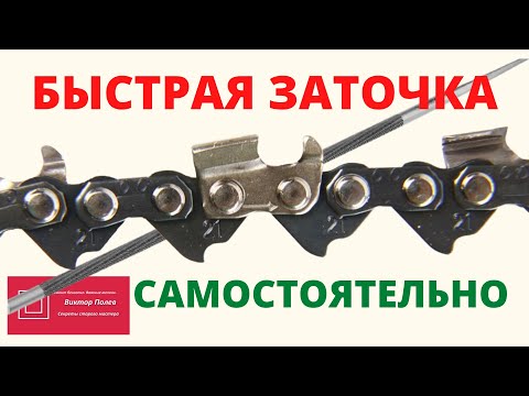 Видео: Как правильно заточить цепь бензопилы (электропилы) напильником самостоятельно #ВикторПолев