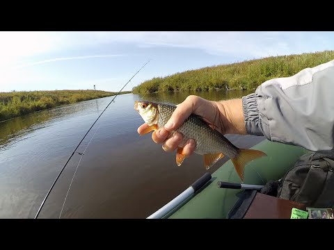 Видео: ГДЕ ПЛОТВА В СЕНТЯБРЕ? Мормышинг на малой реке. Ловля плотвы в разгар бабьего лета