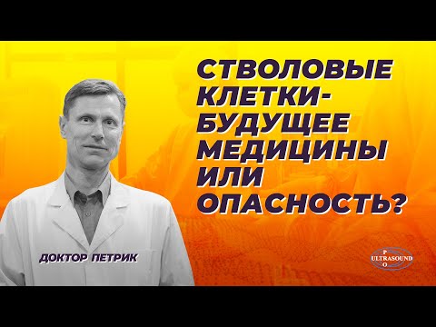 Видео: Стволовые клетки- будущее медицины или опасность?