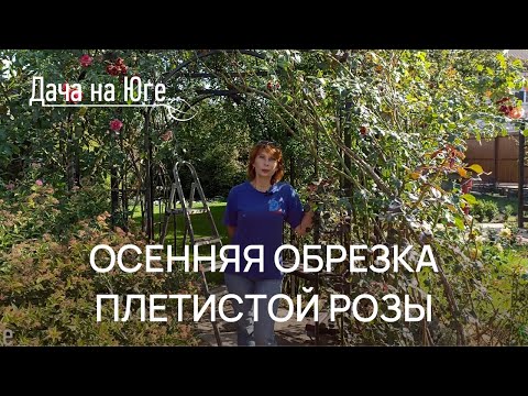 Видео: Дача на Юге - Осенняя обрезка плетистой розы
