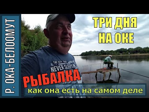 Видео: РЫБАЛКА НА ОКЕ, РЫБАЧИМ ТРОЕ СУТОК, ФИДЕР ПРОТИВ ДОНКИ. БЕЛООМУТ